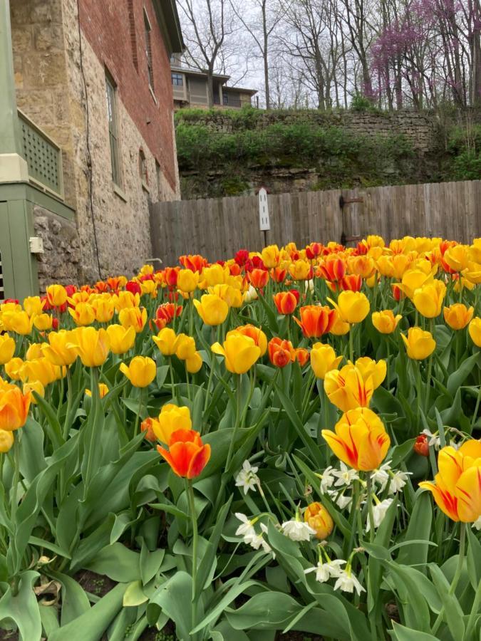 Abe's Spring Street Guest House Galena Exterior foto